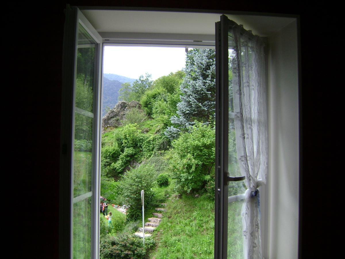 Les Volets Bleus Alsace Vosges Bed & Breakfast Urbes Exterior photo